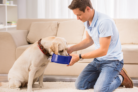 5 Signs Your Pet Needs Extra Grooming