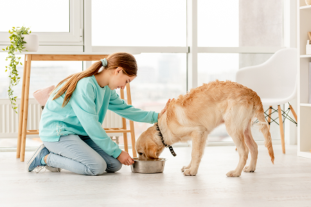 Feeding Schedule for Optimal Pet Health
